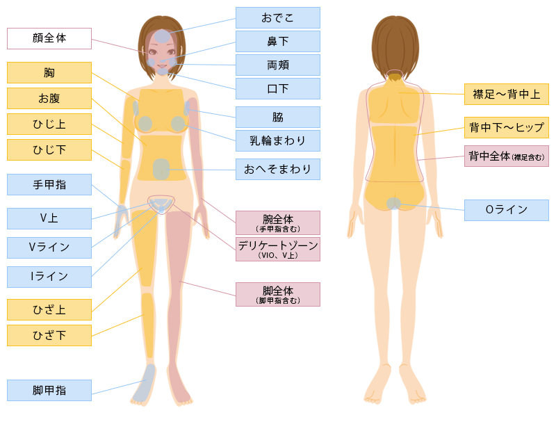 光脱毛 パーツ表